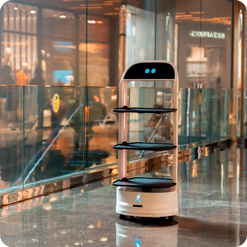 Servis robotlarını tercih etmek için nedenler